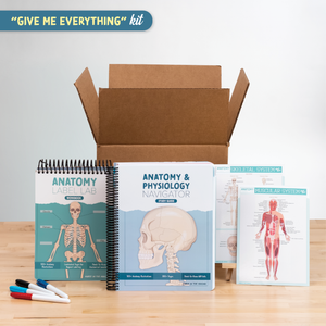Anatomy & Physiology Navigator