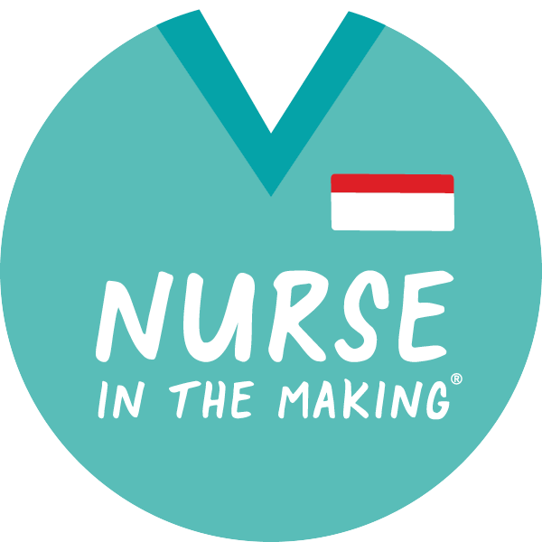 anurseinthemaking.com logo