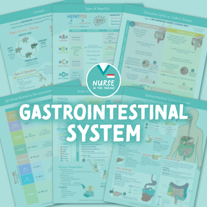 Gastrointestinal System Study Guide