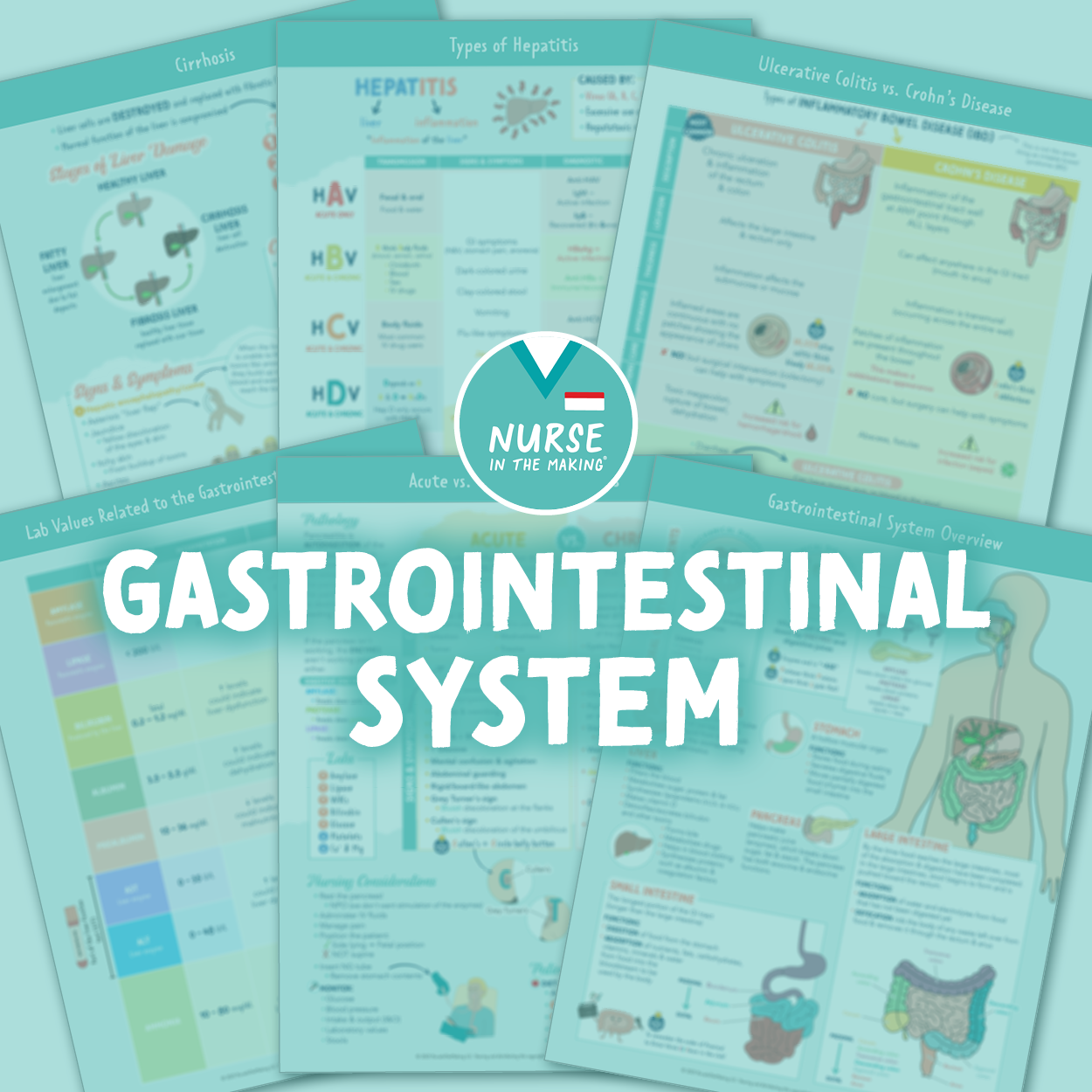 Gastrointestinal System Study Guide