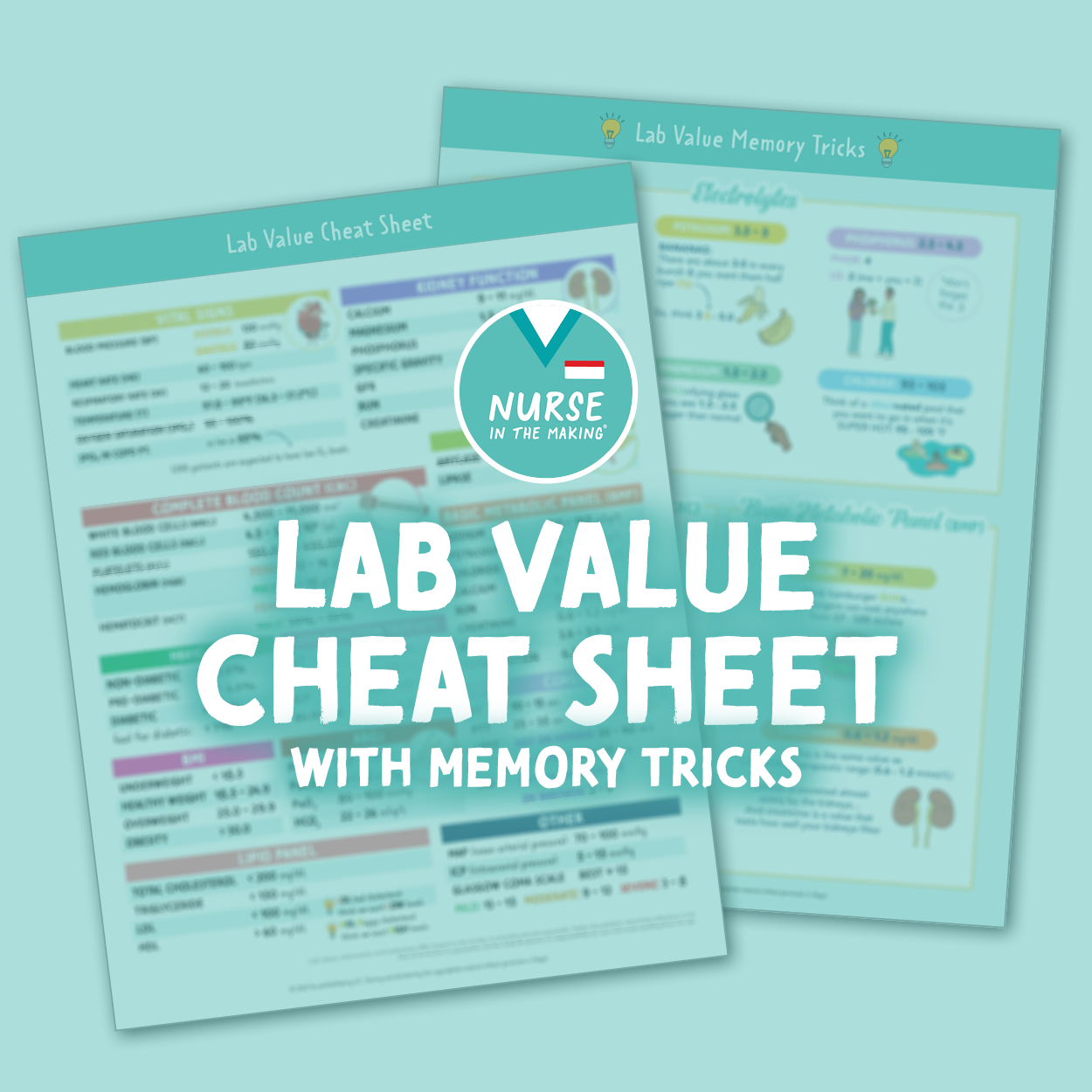 Lab Value Cheat Sheet + Memory Tricks NurseInTheMaking