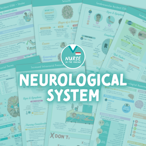 Neurological System Study Guide
