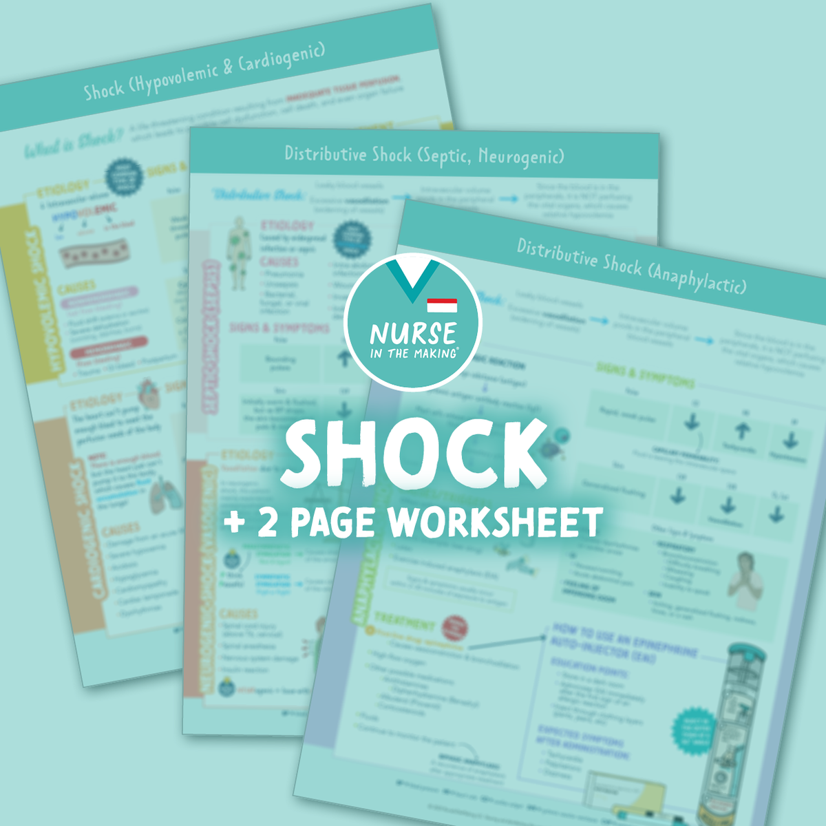 Types of Shock Study Guide + Worksheet