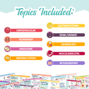 A graphic listing the topics covered in the Med Surg flashcards set. Categories include cardiovascular, respiratory, endocrine, nervous system, gastrointestinal, renal/urinary, hematology, musculoskeletal, and integumentary. Below the list, colorful flashcards are partially visible, showcasing detailed medical content.