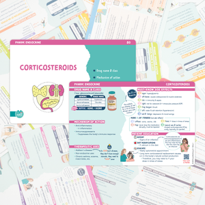 A pharmacology flashcard focused on corticosteroids, part of the endocrine section. The card features colorful sections detailing drug names, mechanisms of action, therapeutic uses, must-know side effects, and patient education. Small illustrations and icons help visualize key concepts. The flashcard is laid on a background of other scattered medical study cards.