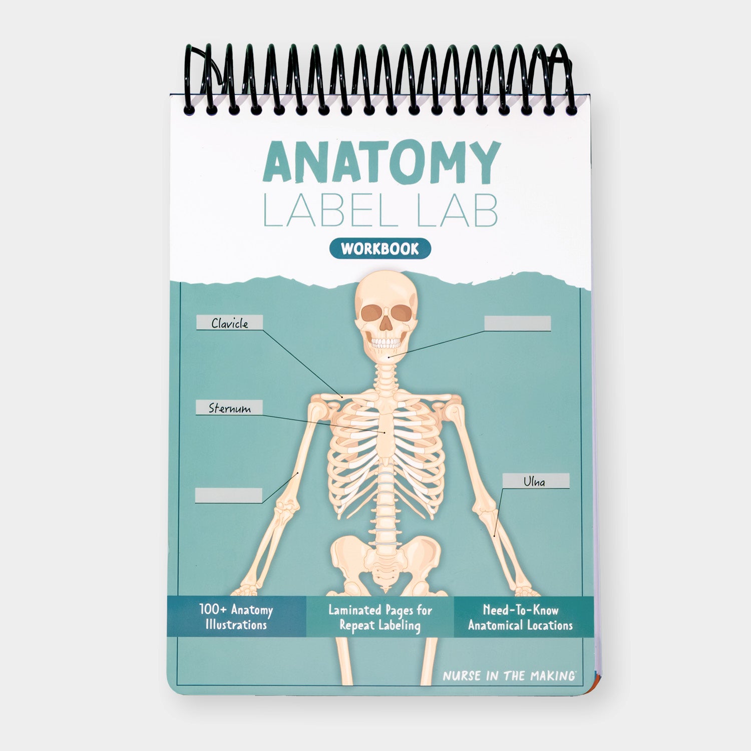 Anatomy Label Lab Workbook®
