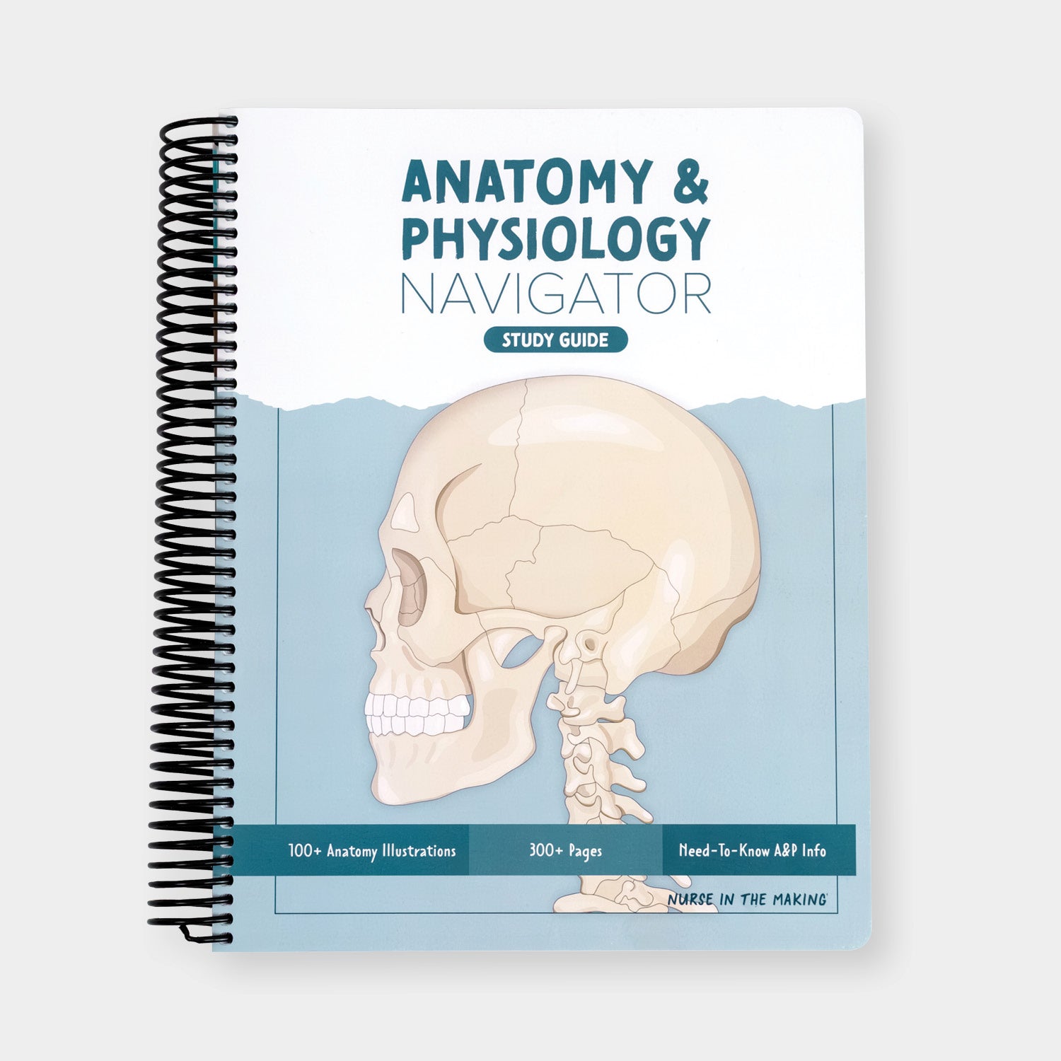 Anatomy & Physiology Navigator