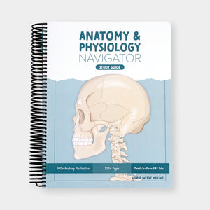 Anatomy & Physiology Navigator