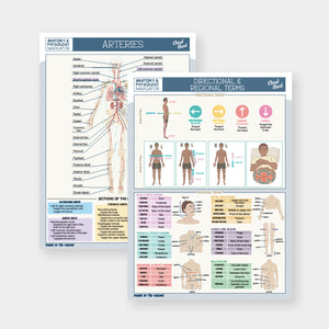 Anatomy & Physiology Navigator Cheat Sheets