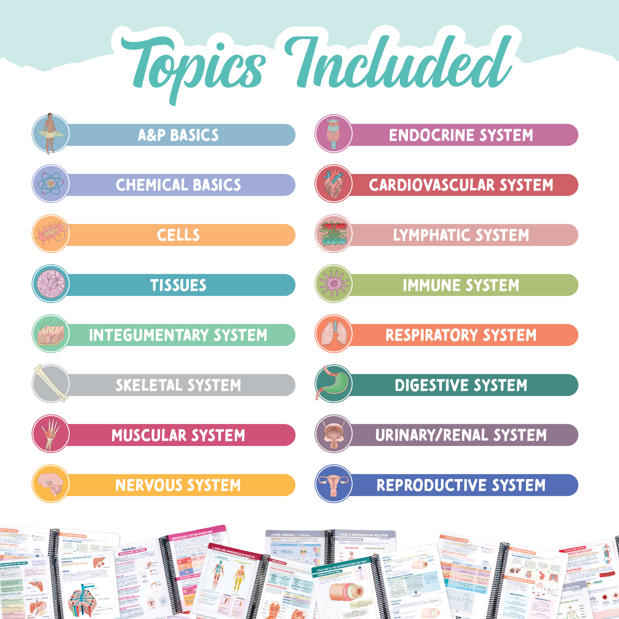 Anatomy & Physiology Navigator