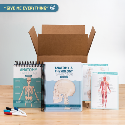 Anatomy & Physiology Navigator