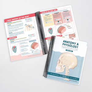 Anatomy & Physiology Navigator Kit™