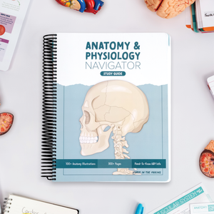 Anatomy & Physiology Navigator