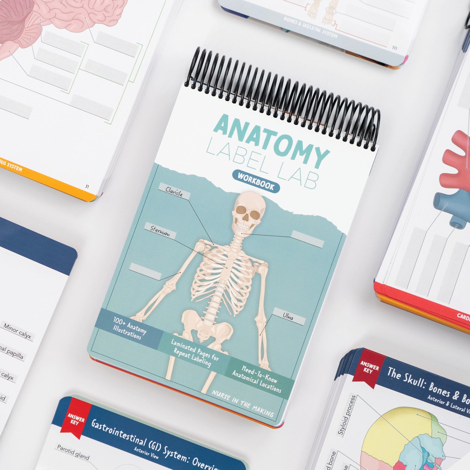 Anatomy Label Lab Workbook®
