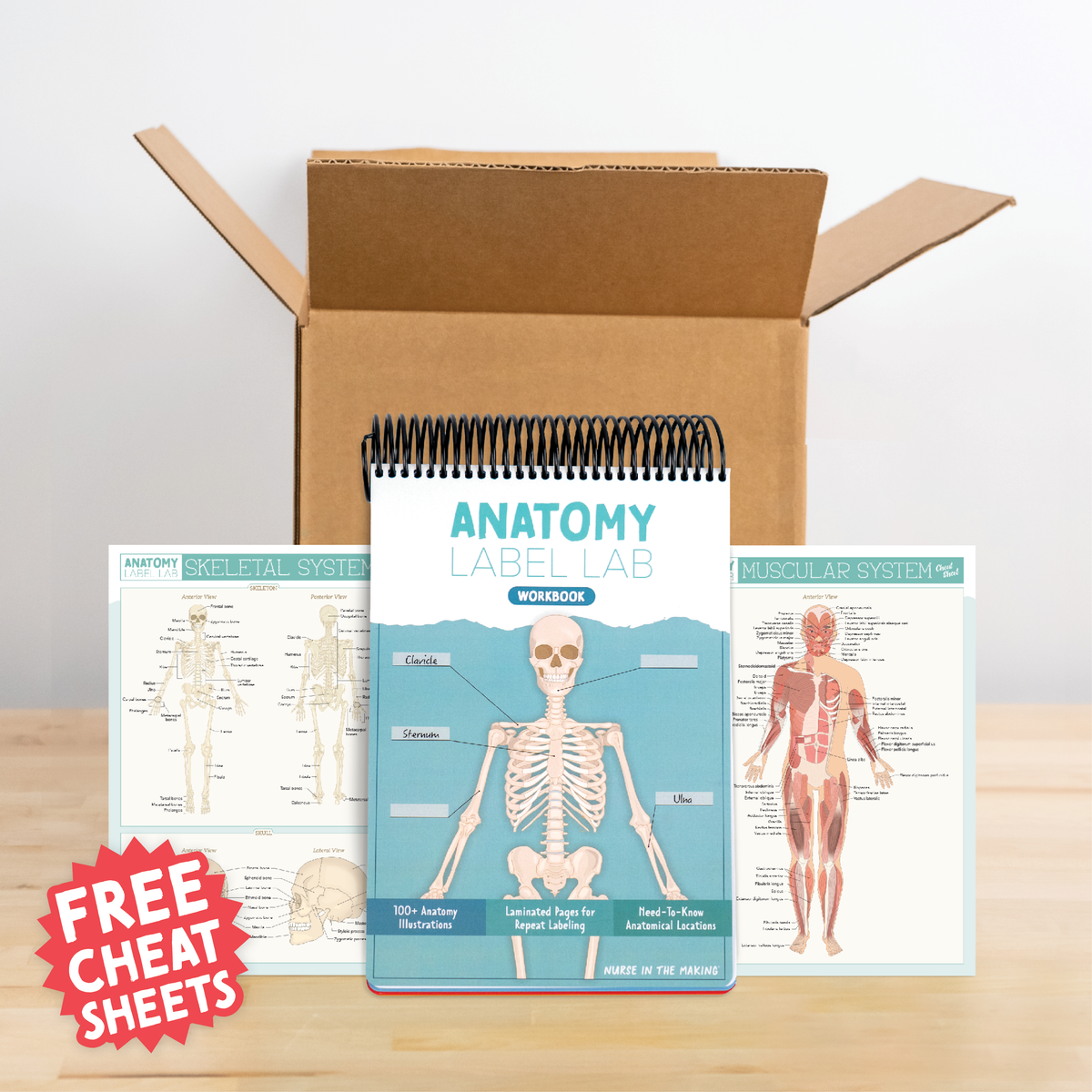 Anatomy Label Lab Workbook