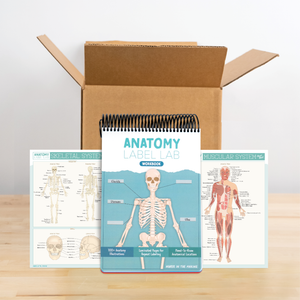 Anatomy Label Lab Kit