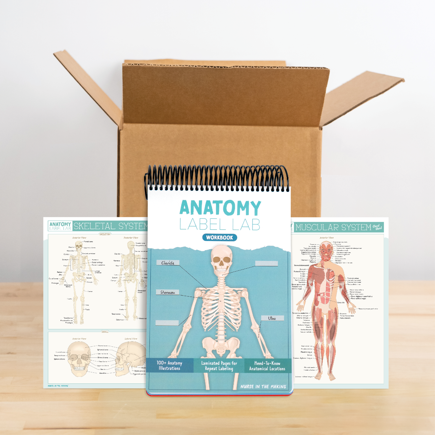 Anatomy Label Lab Kit™ – NurseInTheMaking
