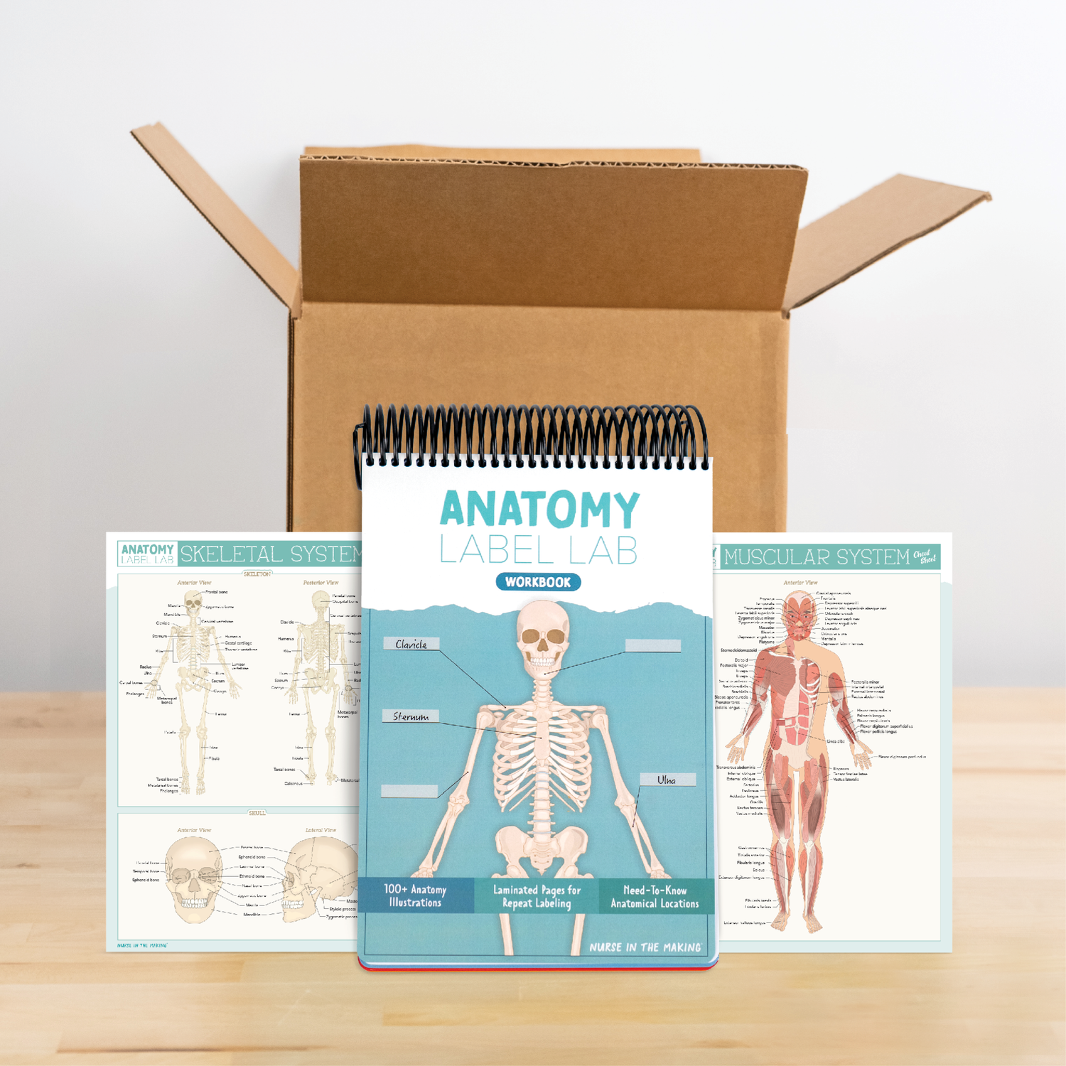 Anatomy Label Lab Kit