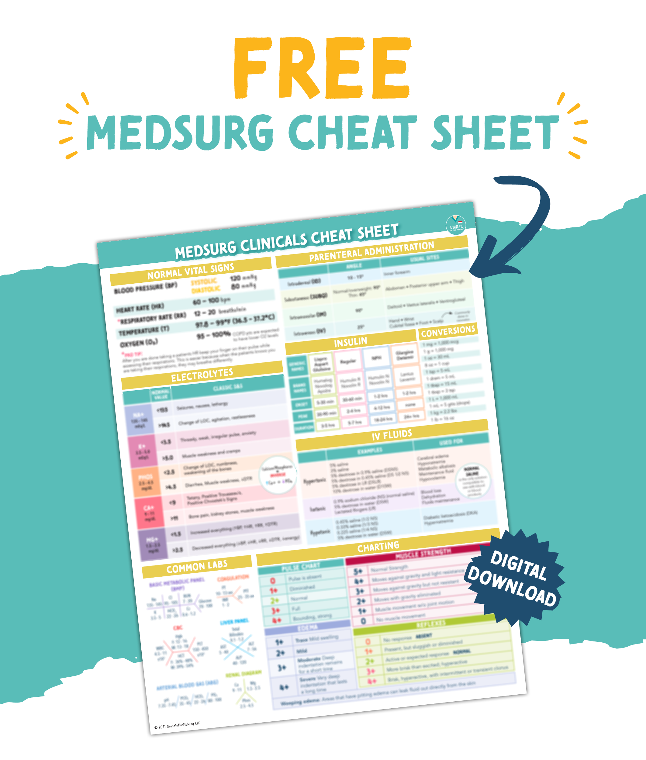 Free Study Guides NurseInTheMaking