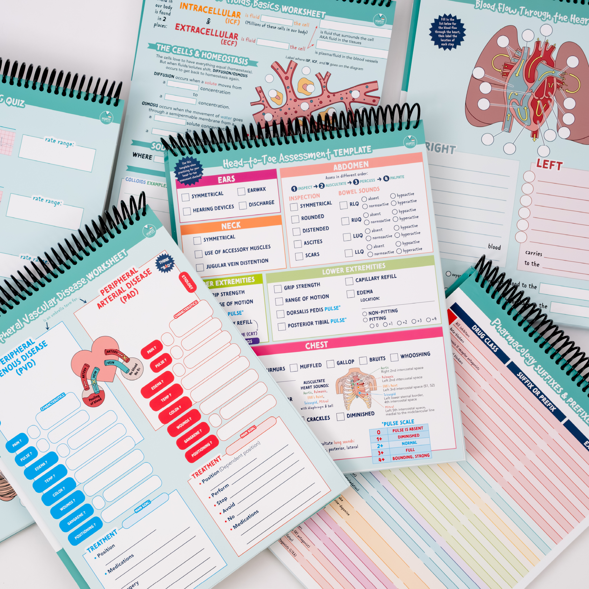 Laminated Study Templates