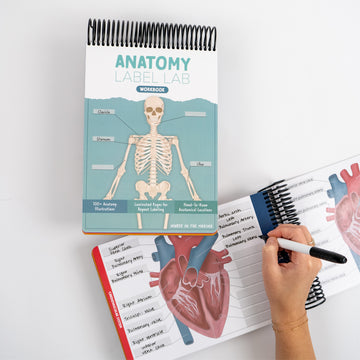 Anatomy Label Lab Workbook®