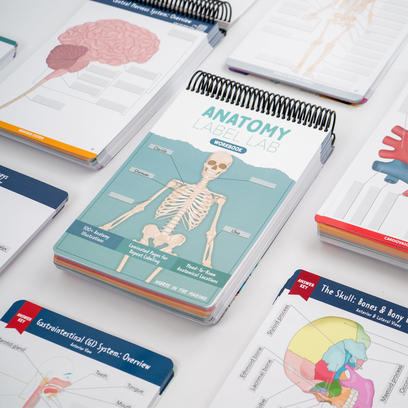 A collection of spiral-bound anatomy study guides displayed on a white surface. The Anatomy Label Lab Workbook with a teal cover and a labeled skeleton illustration is prominently featured in the center. Surrounding it are various study guides with colorful anatomical diagrams, including the brain, heart, and skull, designed for interactive labeling and learning.