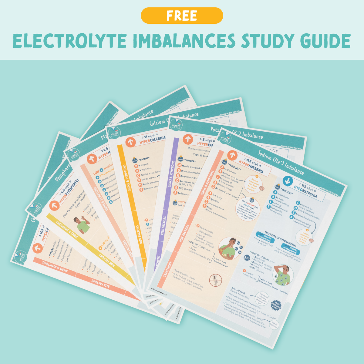 Electrolyte Reference Guide Free Study Guides – NurseInTheMaking