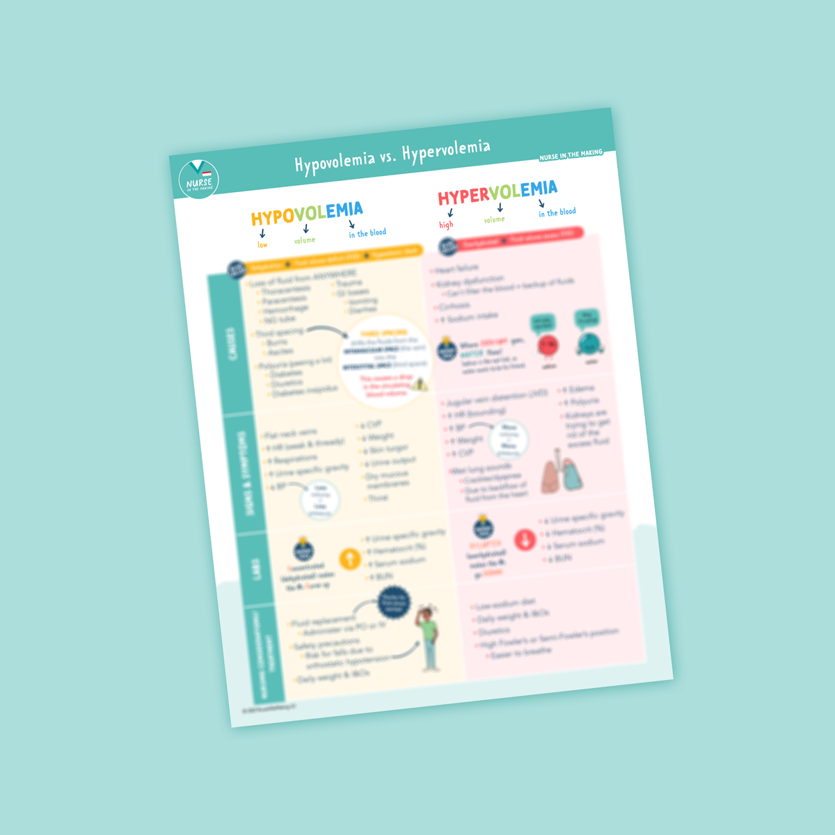 Hypovolemia vs. Hypervolemia Study Guide