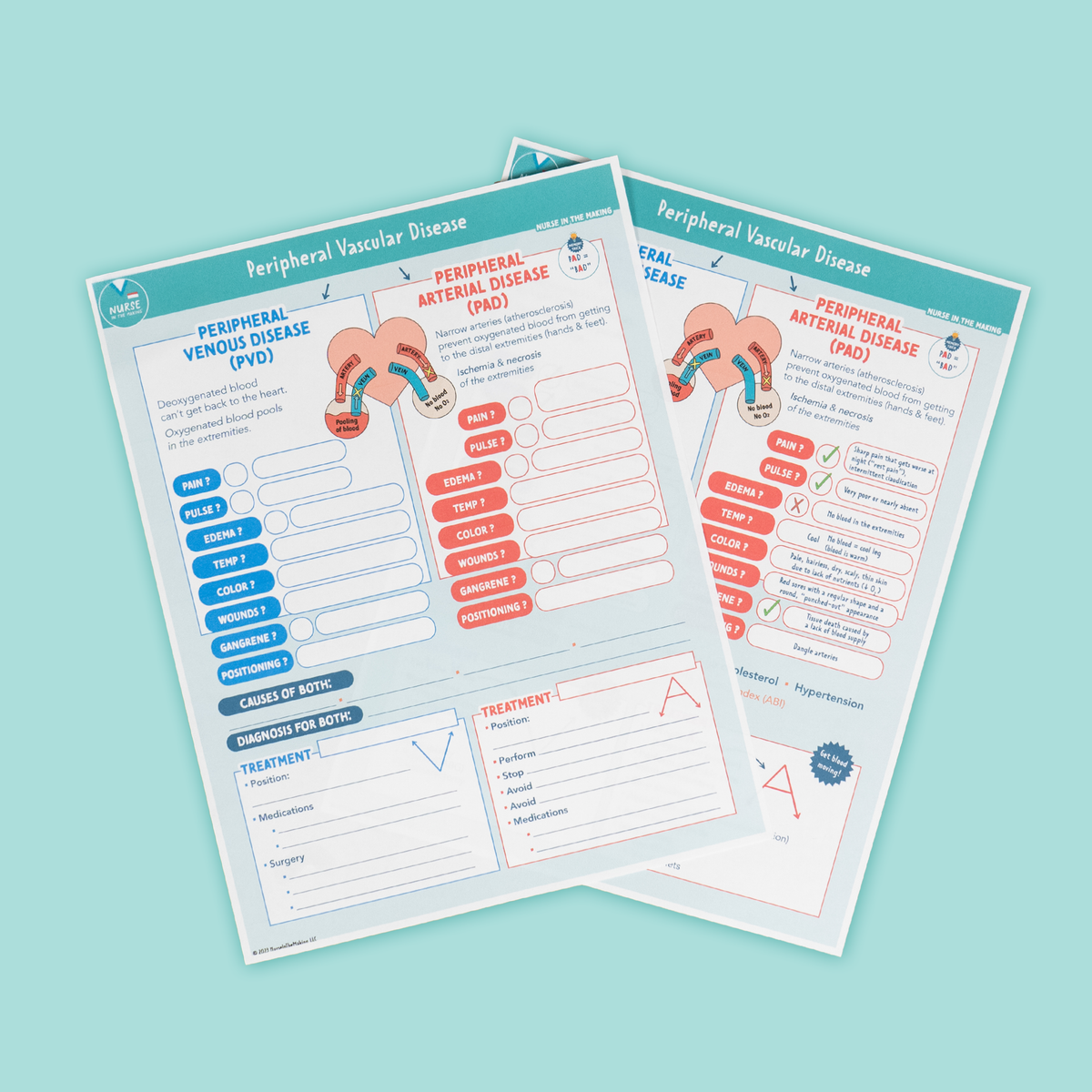 PAD vs. PVD Worksheet