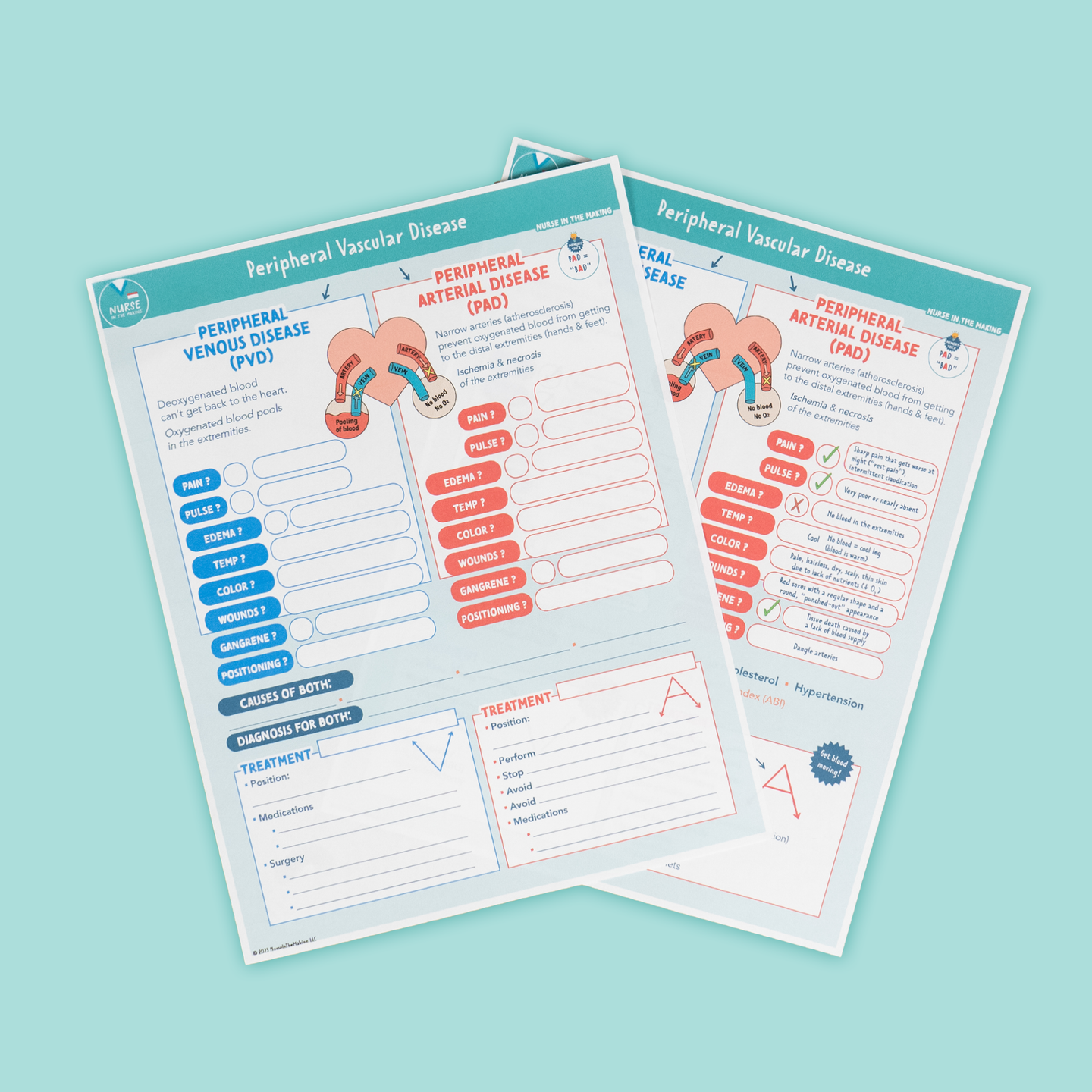 Pad vs pvd worksheet nurseinthemaking