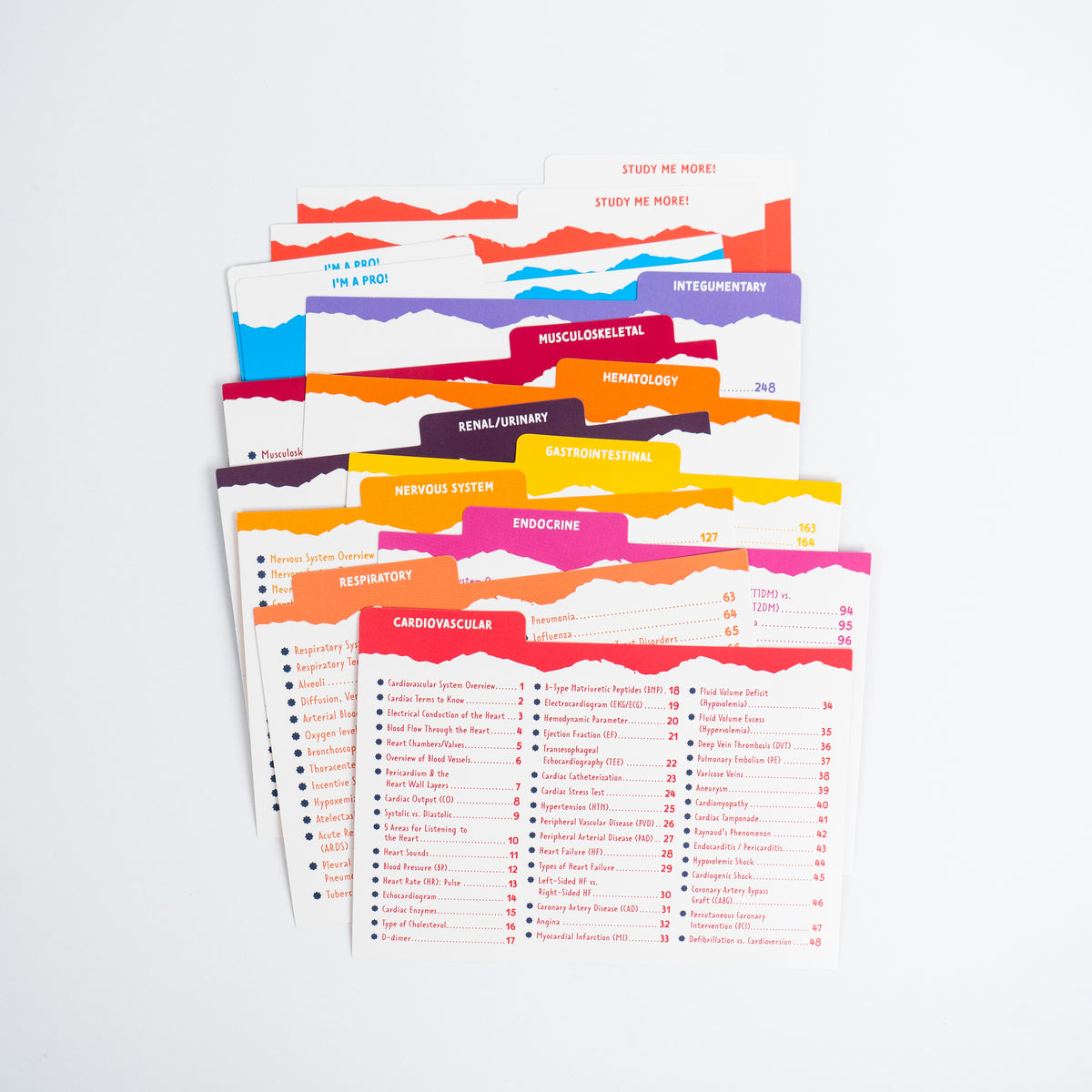 Flashcard Boxes NurseInTheMaking