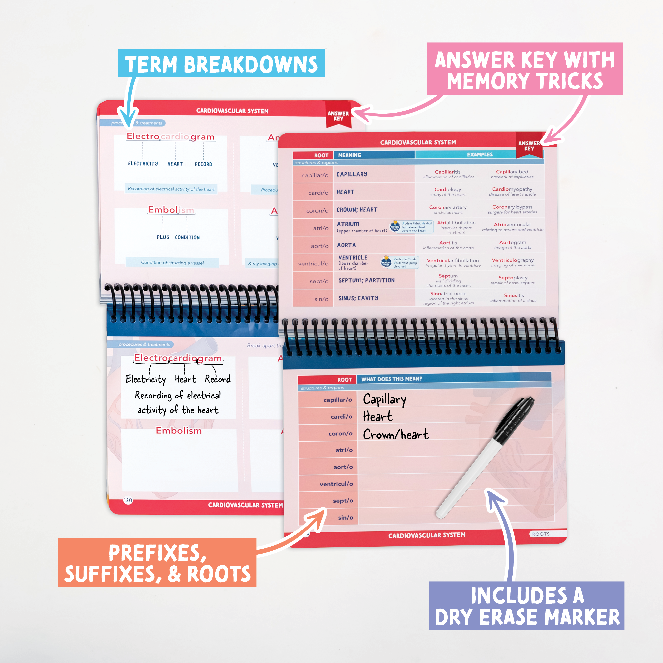 Medical Terminology Label Lab