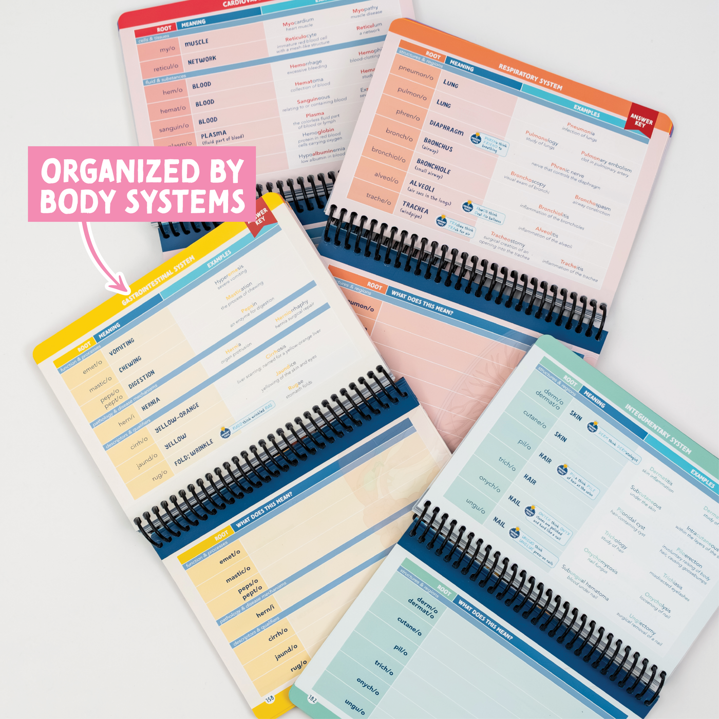 Medical Terminology Label Lab – NurseInTheMaking