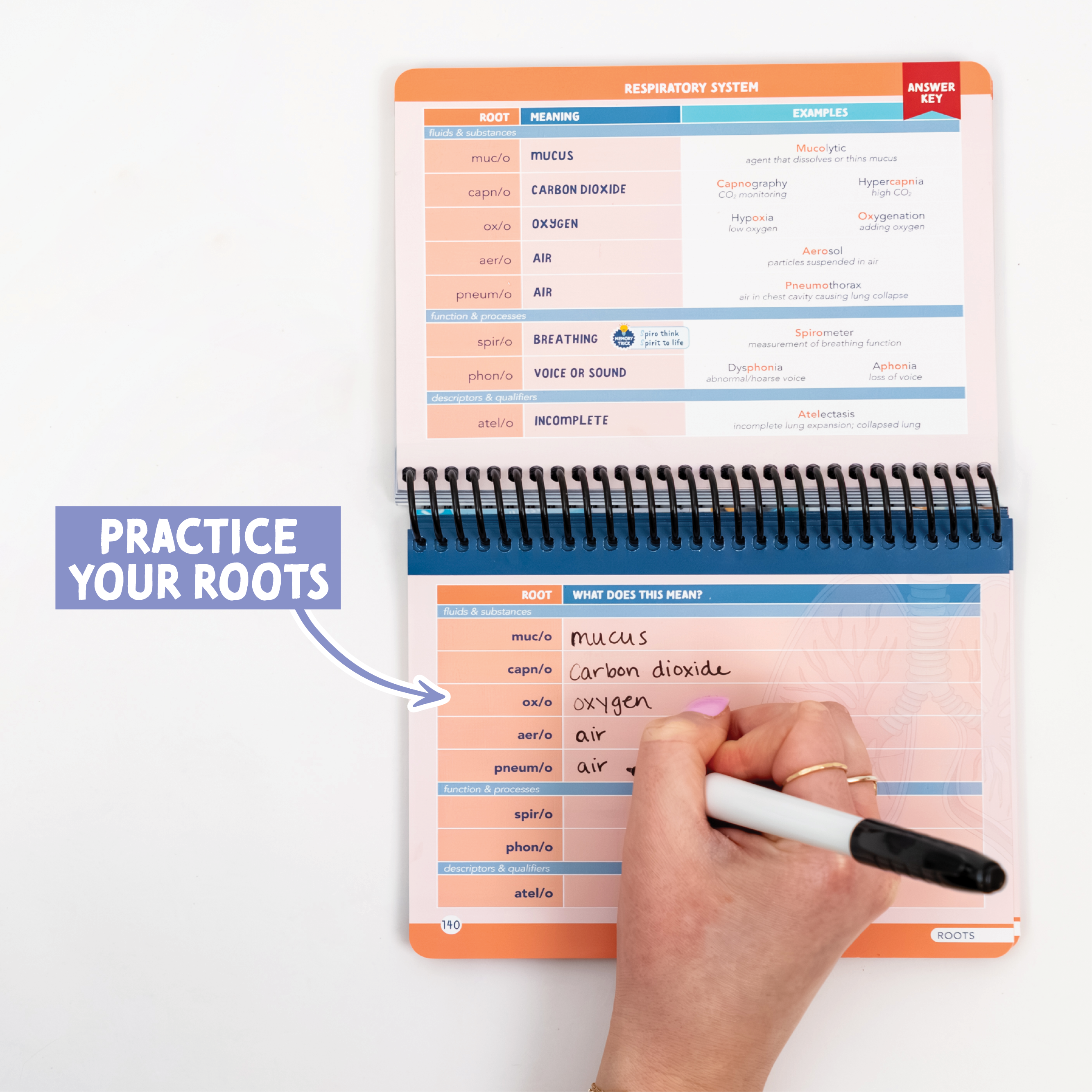 Medical Terminology Label Lab