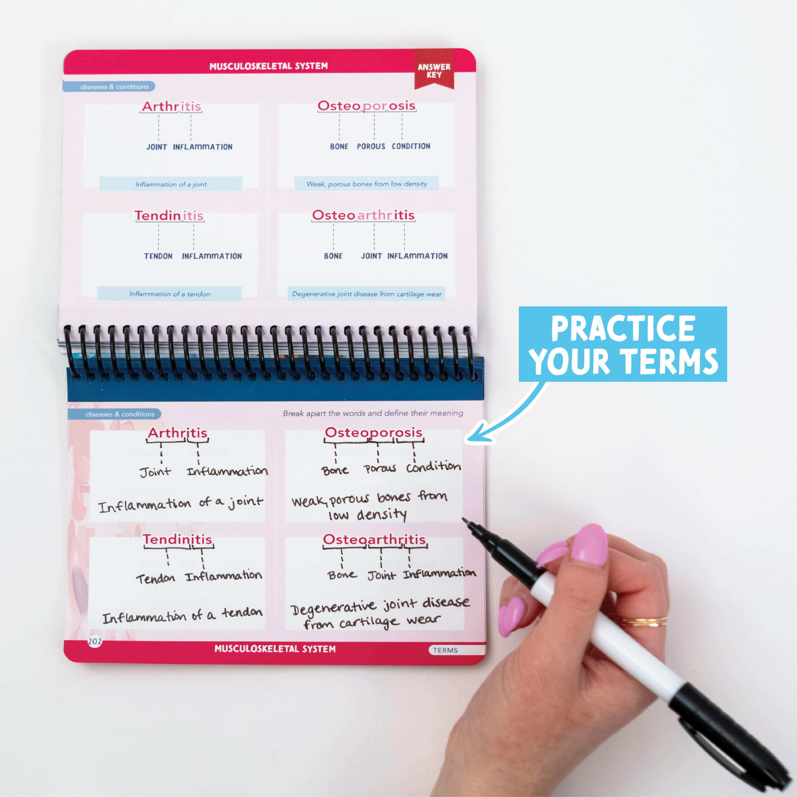 Medical Terminology Label Lab