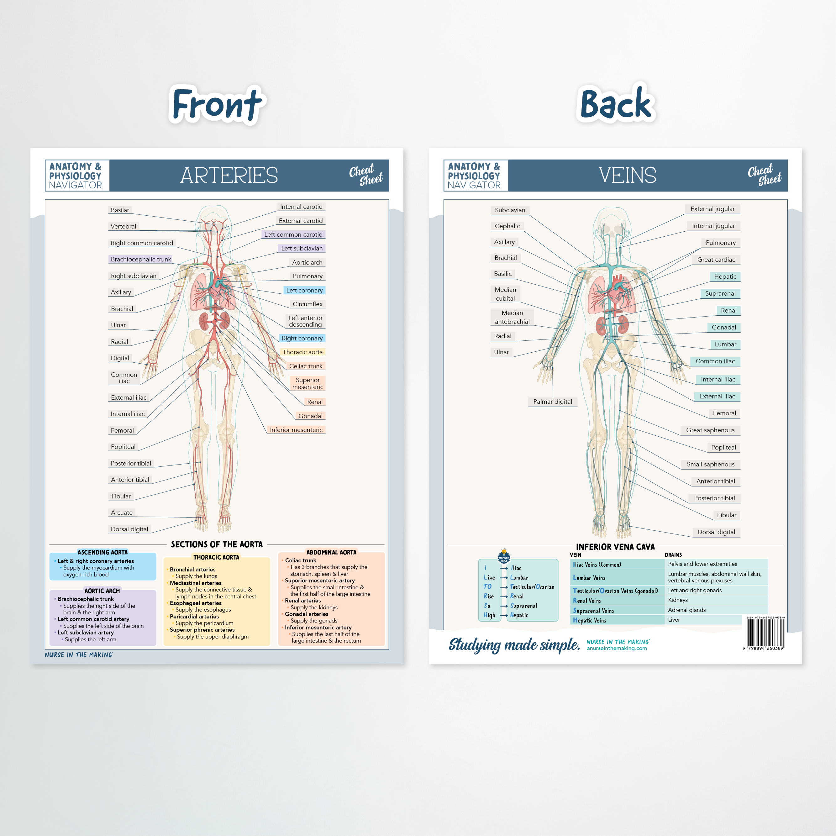Anatomy & Physiology Navigator Cheat Sheets
