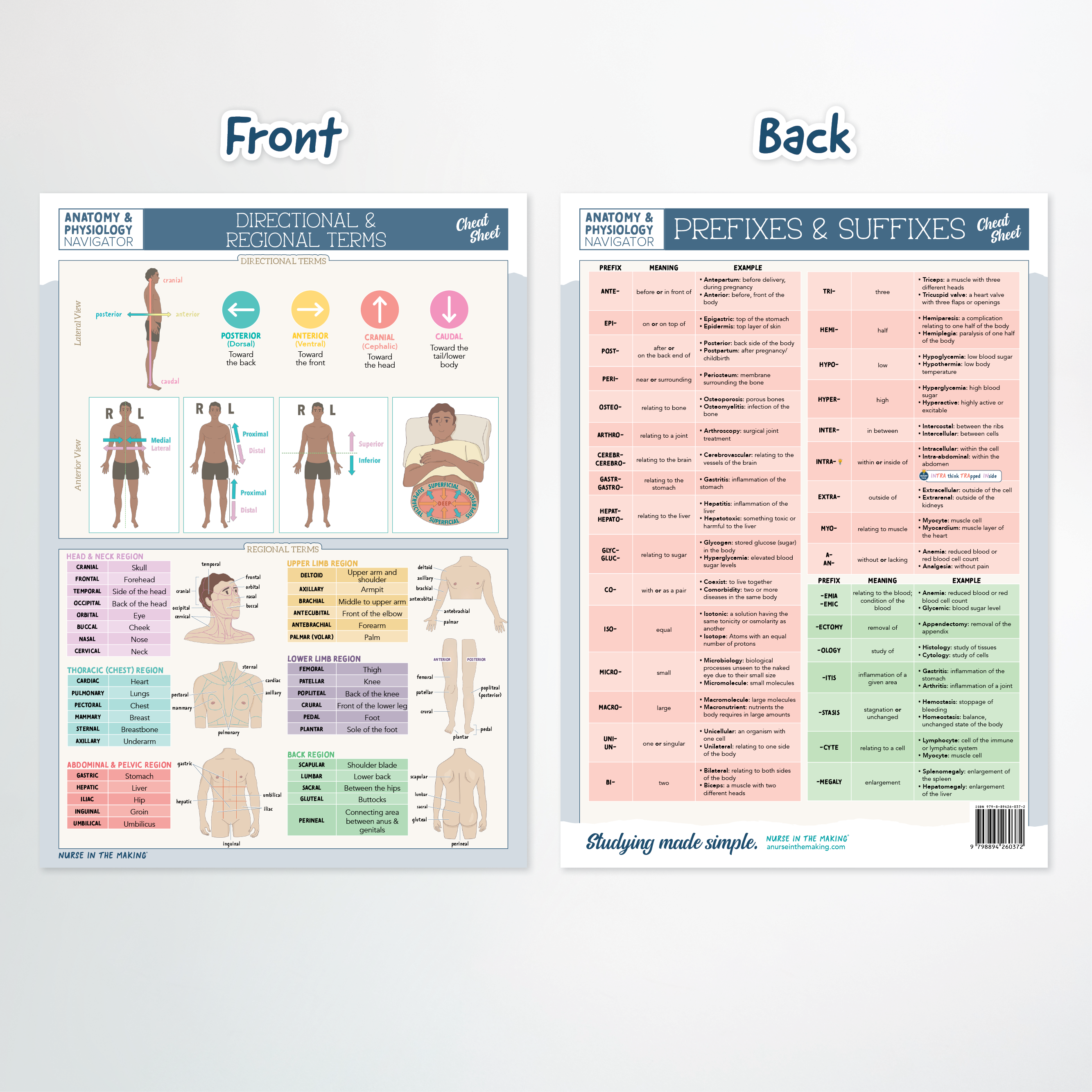 Anatomy & Physiology Navigator Cheat Sheets