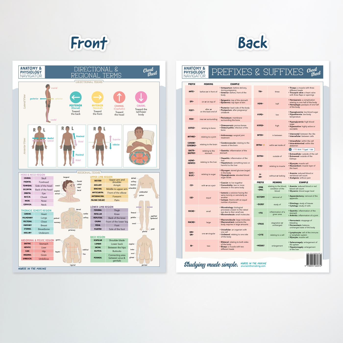 Anatomy & Physiology Navigator Kit™