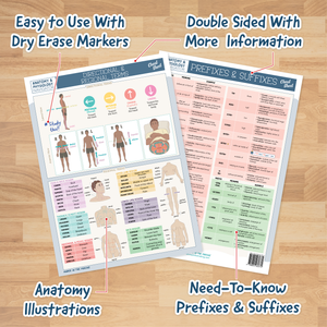 Anatomy & Physiology Navigator Cheat Sheets