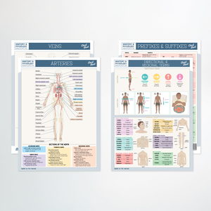 Anatomy & Physiology Navigator Cheat Sheets