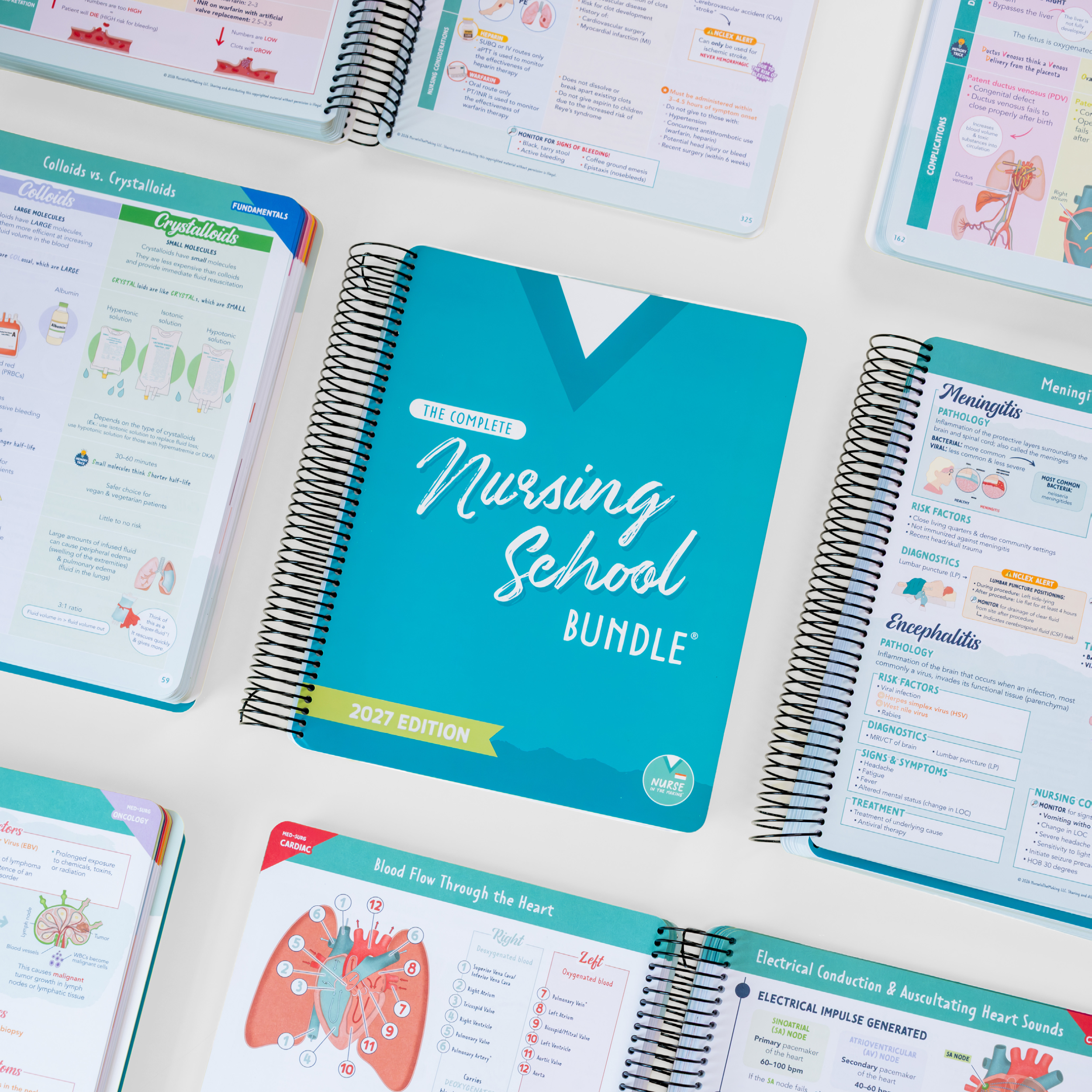The Complete Nursing School Bundle