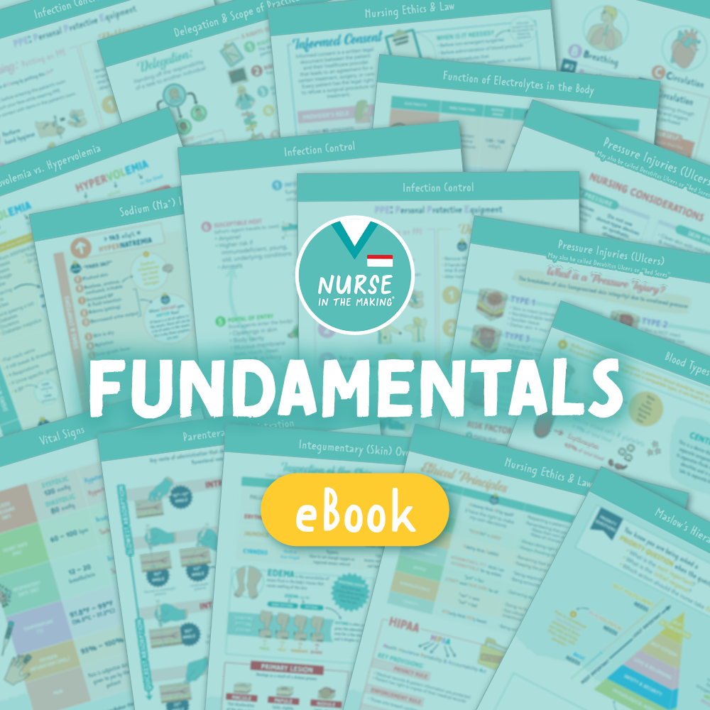 A digital study guide cover for the respiratory system, featuring a collage of educational sheets with diagrams and text related to respiratory anatomy and physiology. The title “FUNDAMENTALS" is prominently displayed in bold white text over a teal background with the “Nurse in the Making” logo.