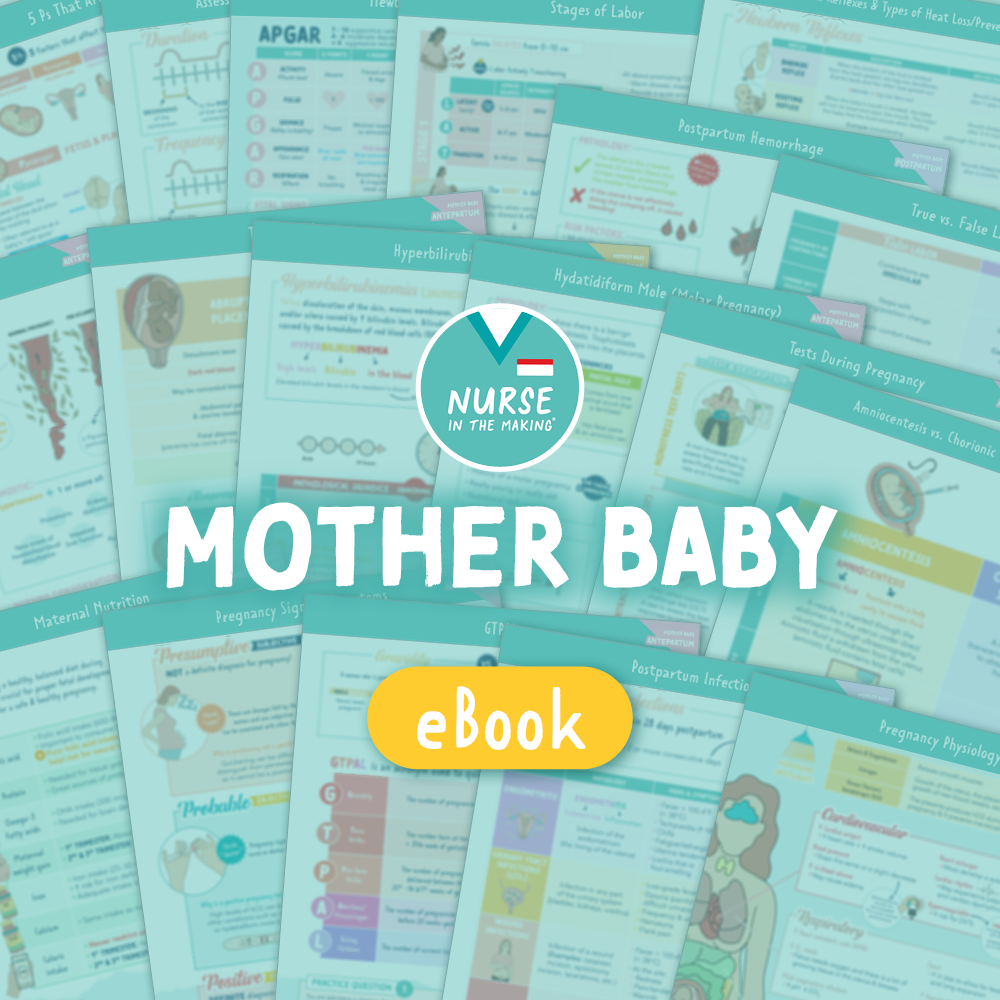 A digital study guide cover for the respiratory system, featuring a collage of educational sheets with diagrams and text related to Mother Baby. The title “MOTHER BABY” is prominently displayed in bold white text over a teal background with the “Nurse in the Making” logo.