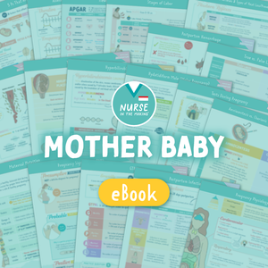 Mother Baby Study Guide