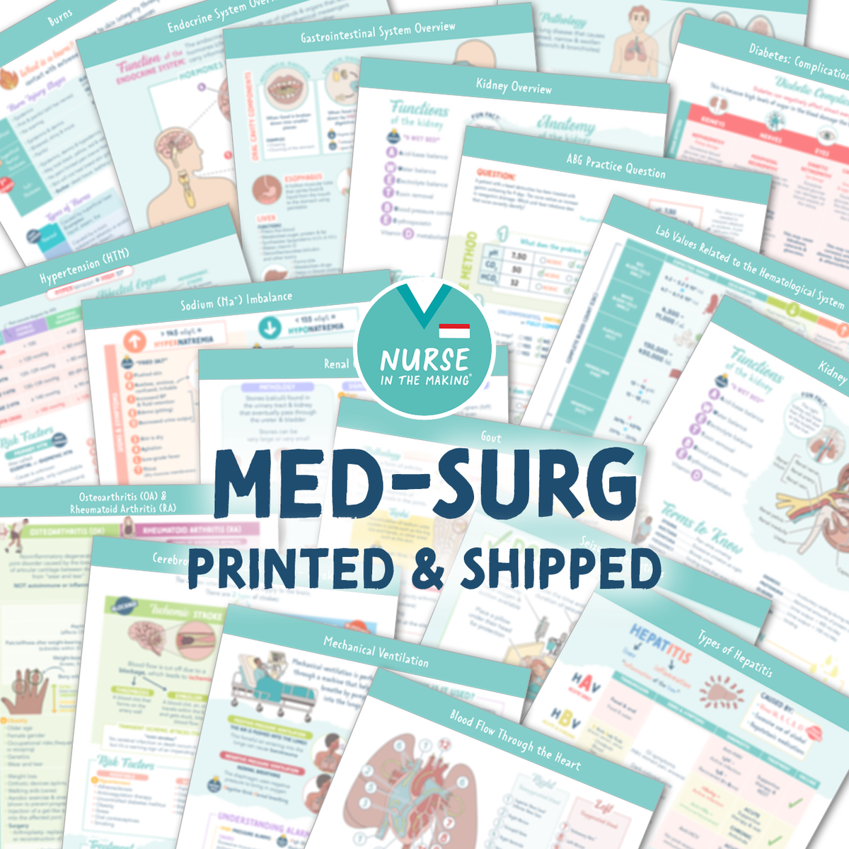 Med Surg Study Guide