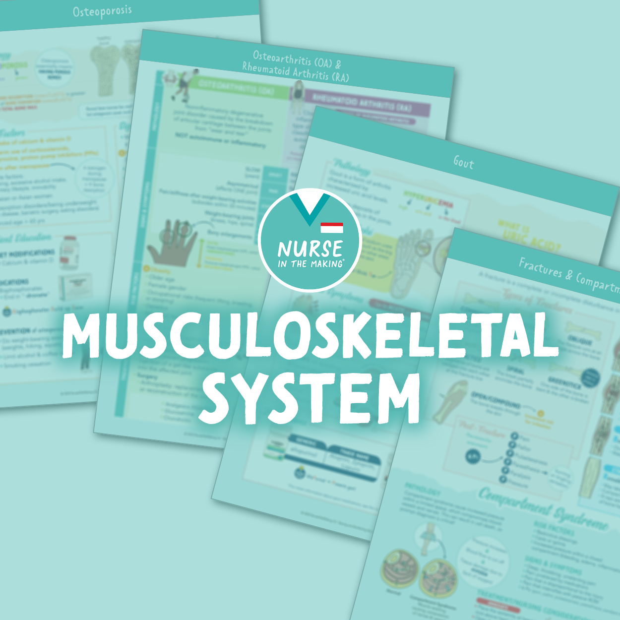 Musculoskeletal System Study Guide
