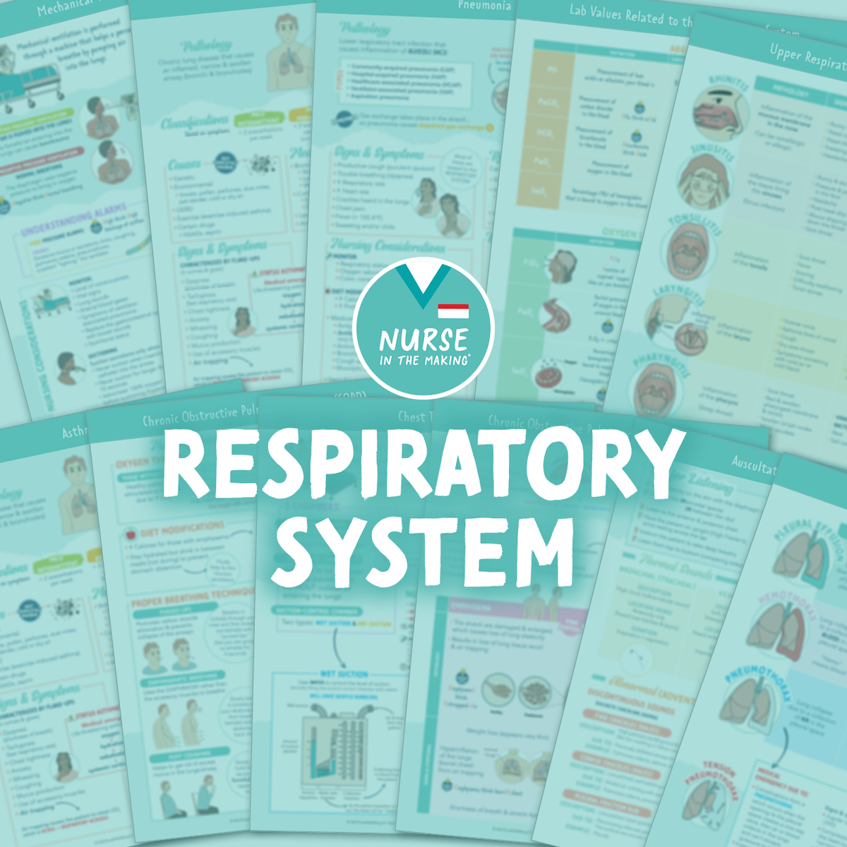 Respiratory Study Guide
