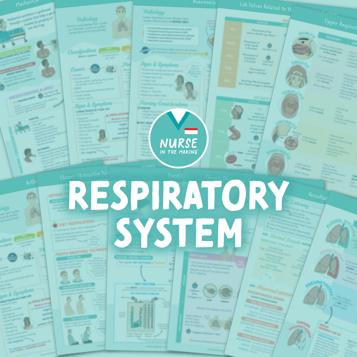 Respiratory Study Guide