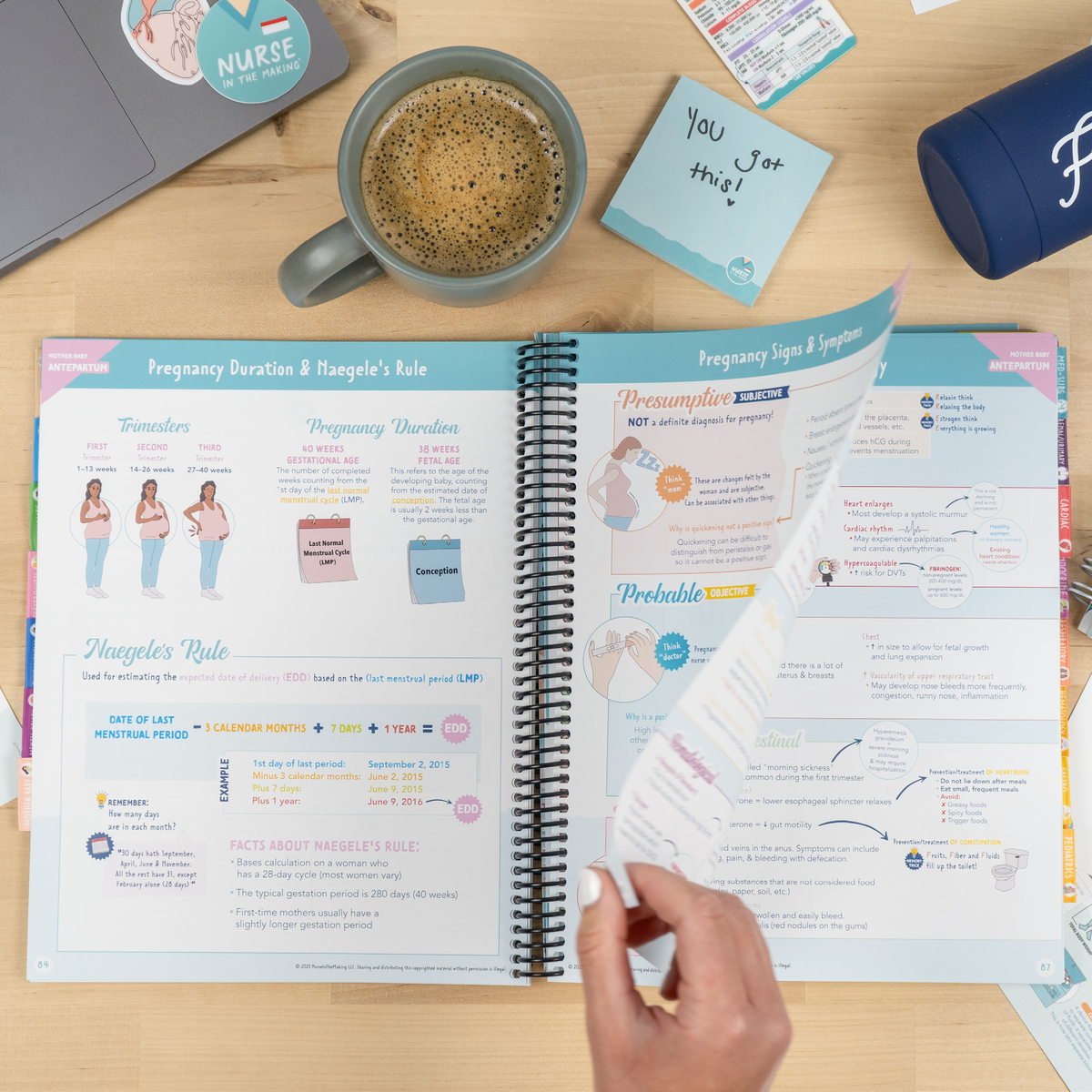The Complete Nursing School Starter Kit